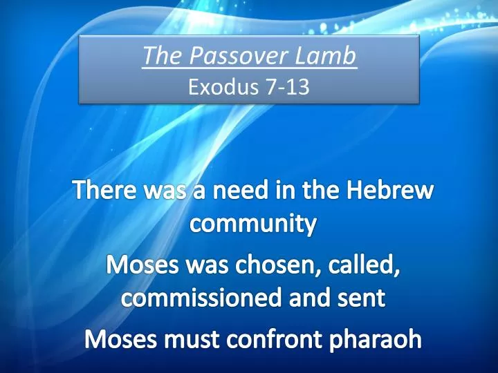 the passover lamb exodus 7 13