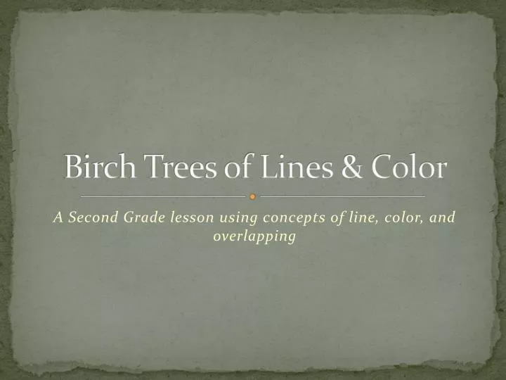 birch trees of lines color