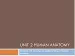 Unit 2 Human anatomy - slide 1