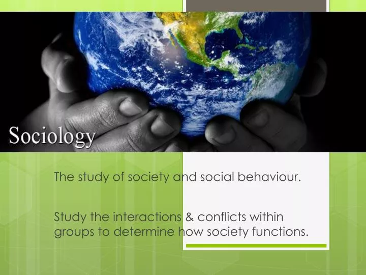 study the interactions conflicts within groups to determine how society functions