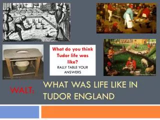 What was life like in Tudor England