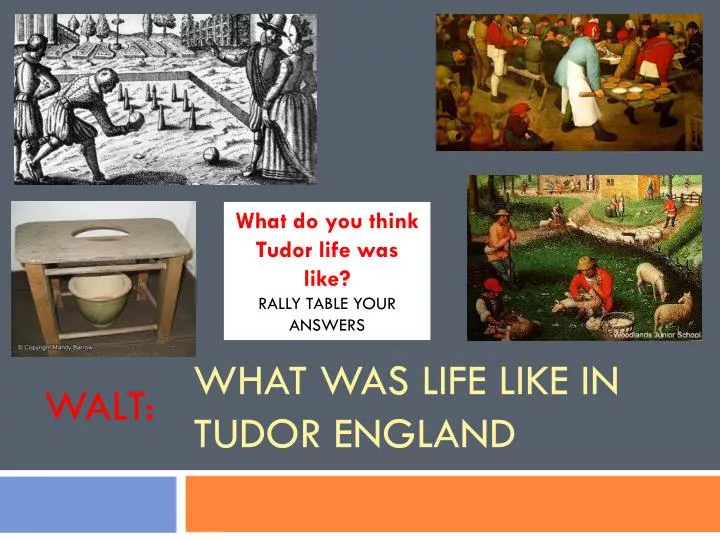 what was life like in tudor england