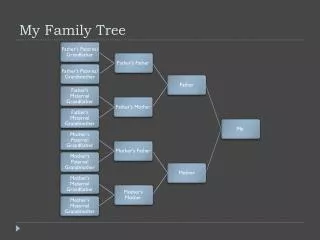 my family tree