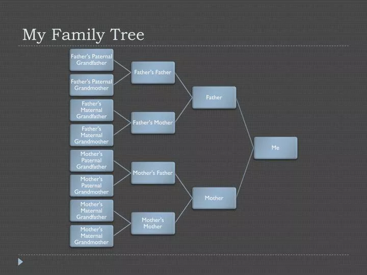 my family tree