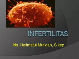 ns halimatul mufidah s kep
