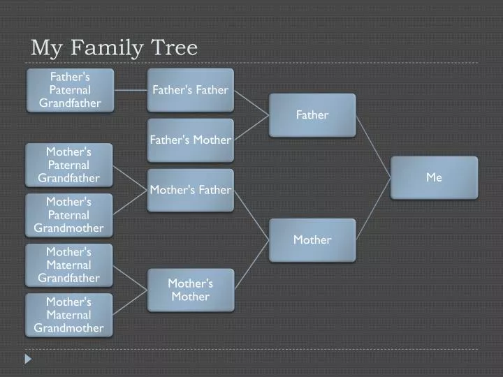 my family tree