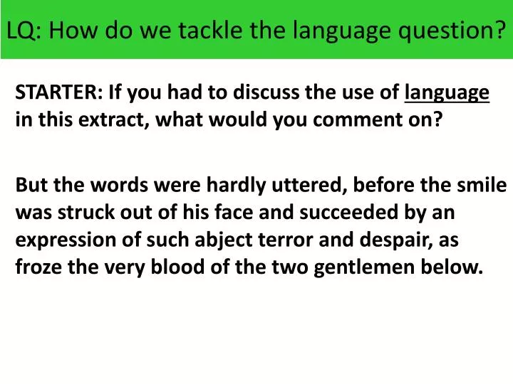 lq how do we tackle the language question