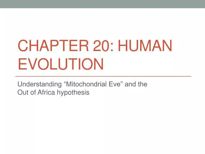 chapter 20 human evolution