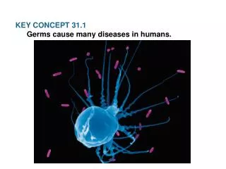 KEY CONCEPT 31.1 Germs cause many diseases in humans.
