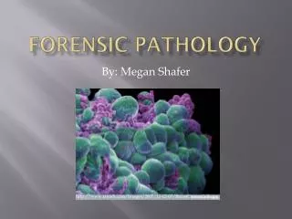 forensic pathology