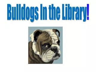 Bulldogs In the Library !