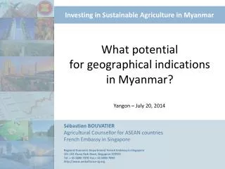 What potential for geographical indications in Myanmar ?