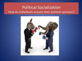 Political Socialization How do individuals acquire their political opinions?