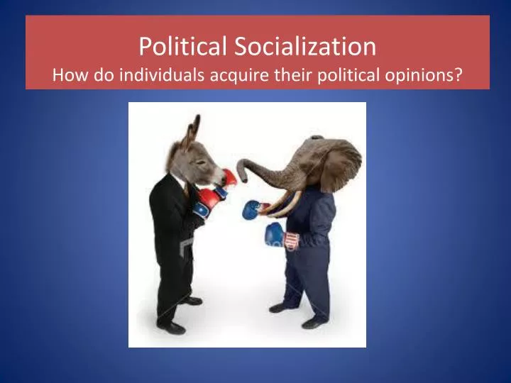 political socialization how do individuals acquire their political opinions