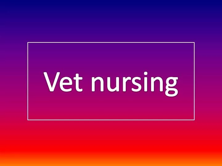 vet nursing