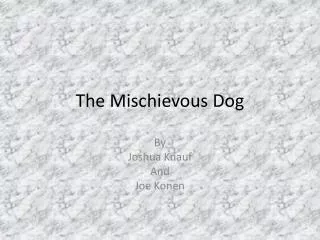 The Mischievous Dog