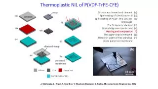 Thermoplastic NIL of P(VDF- TrFE -CFE)