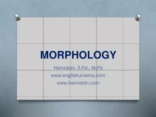 morphology