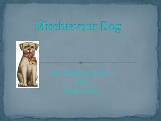 Mischievous Dog