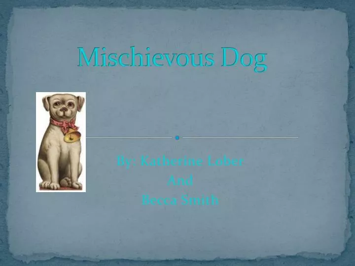 mischievous dog