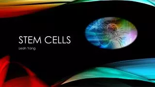 Stem Cells