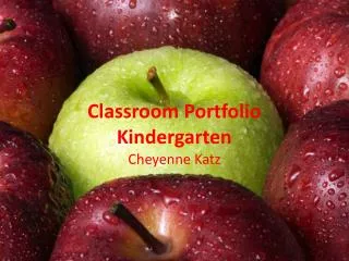 Classroom Portfolio Kindergarten