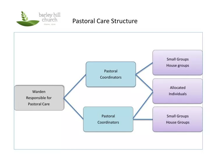pastoral care structure