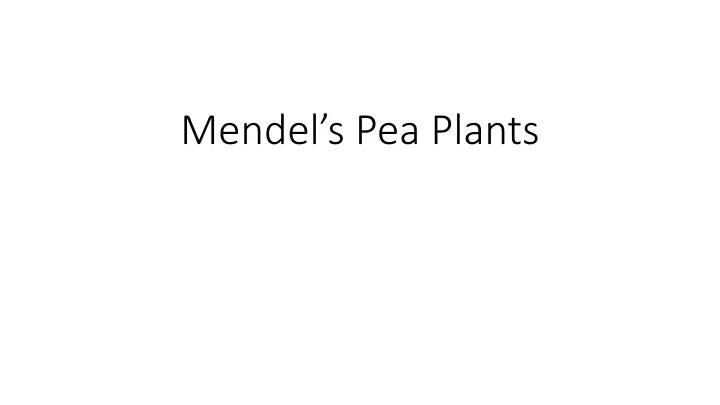 mendel s pea plants