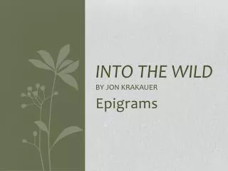 Into the Wild by Jon krakauer