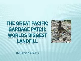 The Great Pacific Garbage Patch: worlds biggest landfill
