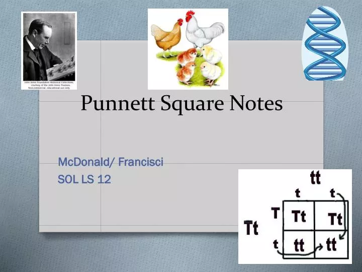 punnett square notes