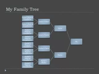 my family tree