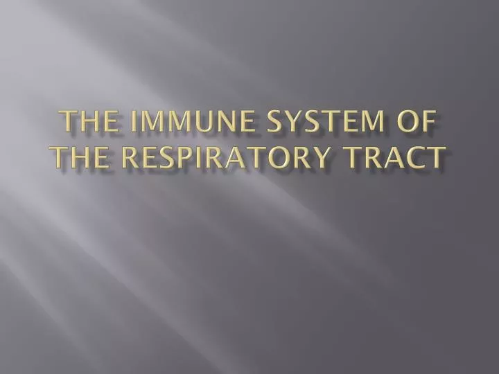 the immune system of the respiratory tract