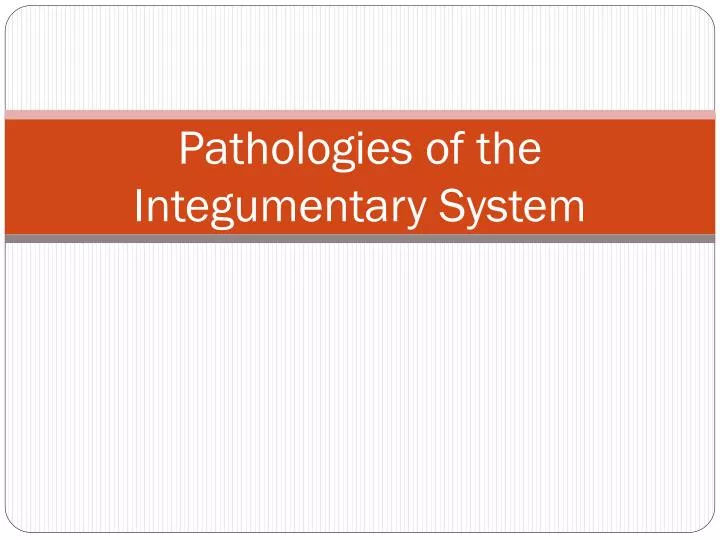pathologies of the integumentary system