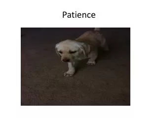 patience