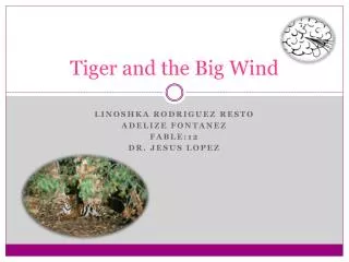 Tiger and the Big Wind