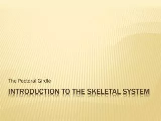 INTRODUCTION TO THE SKELETAL SYSTEM
