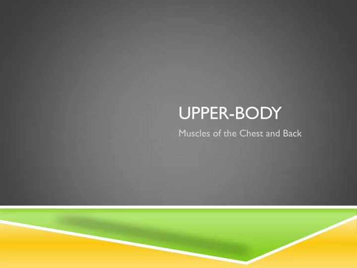 upper body