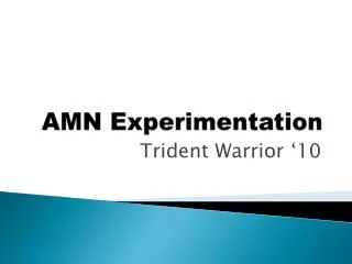 AMN Experimentation
