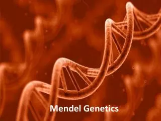 Mendel Genetics