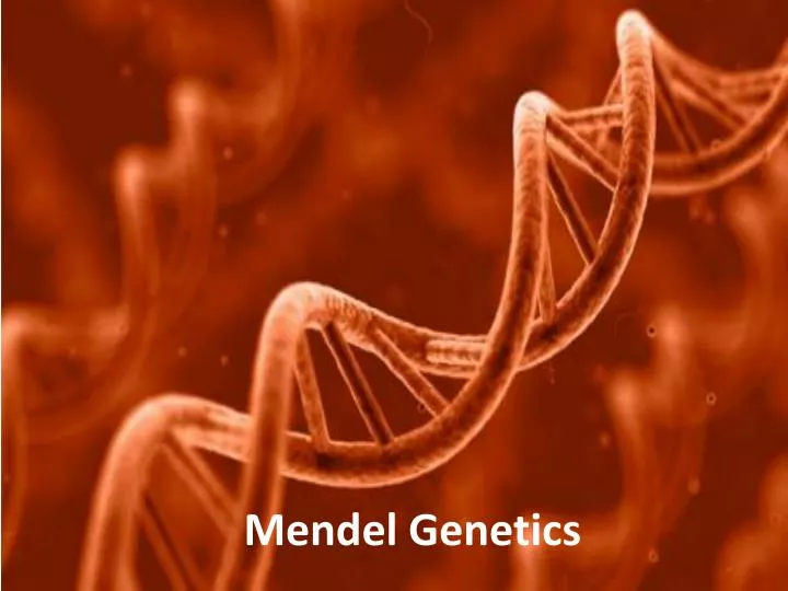 mendel genetics