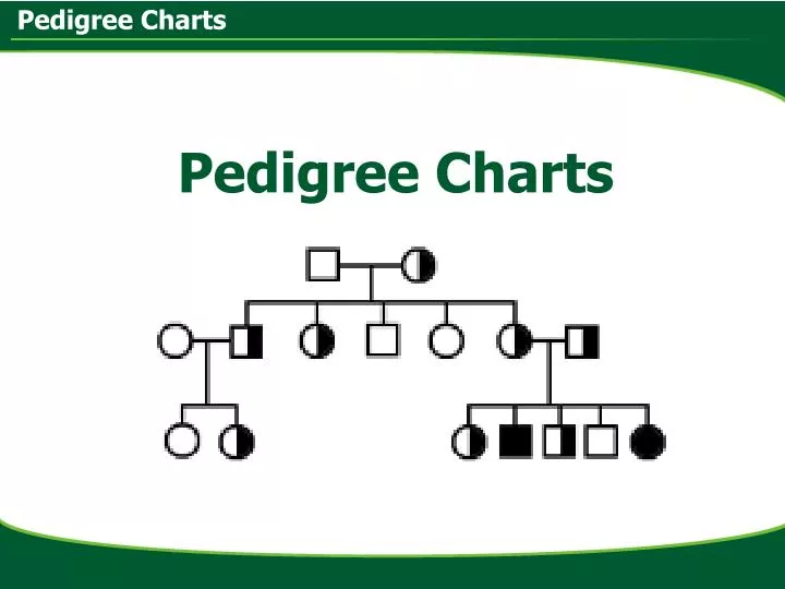 pedigree charts