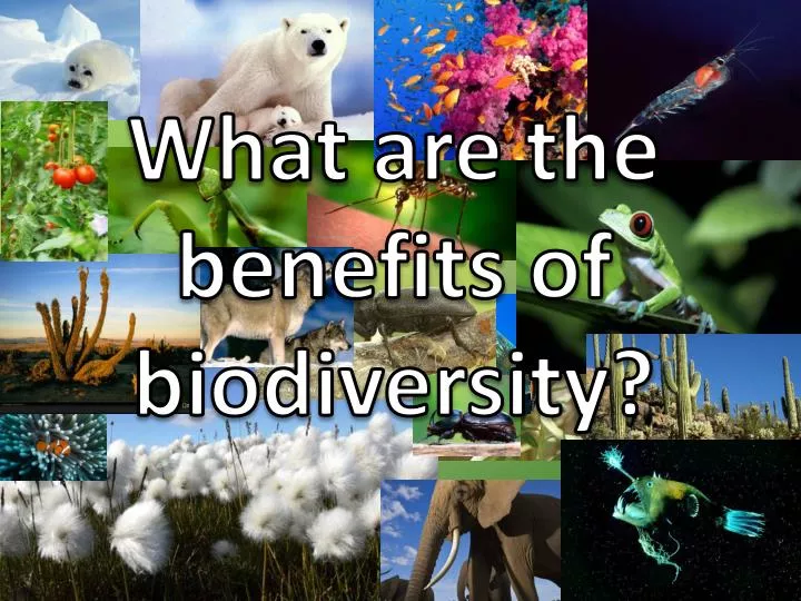what are the benefits of biodiversity