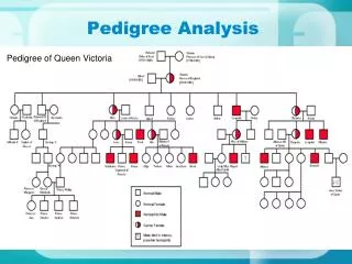 Pedigree Analysis