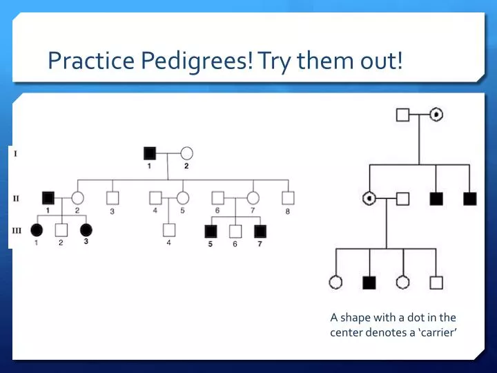 practice pedigrees try them out