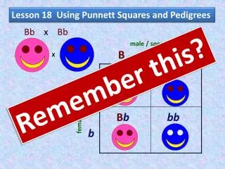 Lesson 18 Using Punnett Squares and Pedigrees