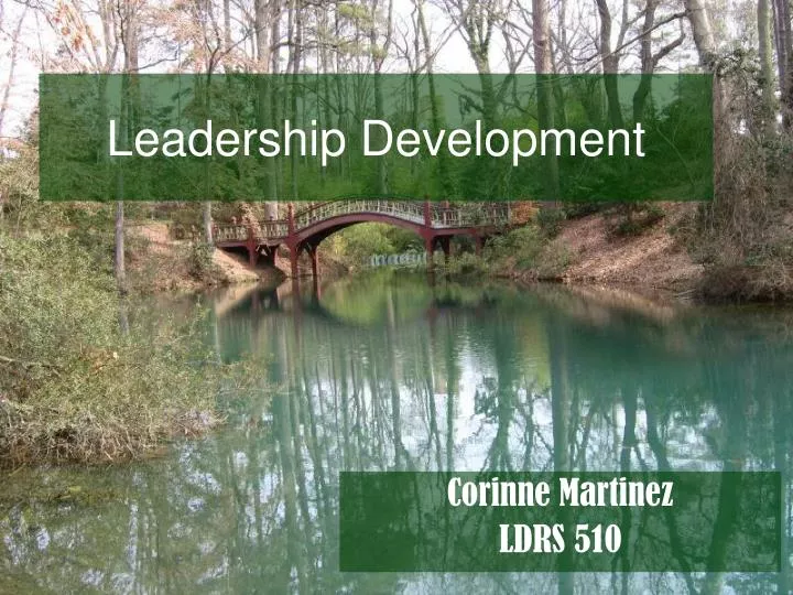 leadership development