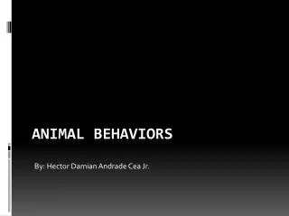 Animal Behaviors