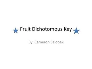 Fruit Dichotomous Key