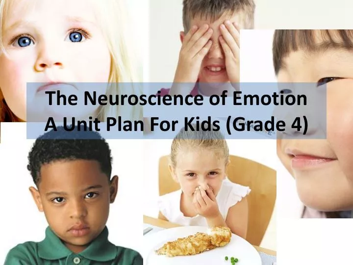 the neuroscience of emotion a unit plan for kids grade 4